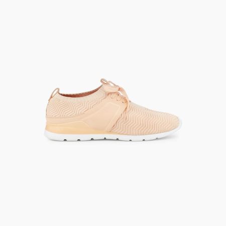 UGG Willows Light Orange Sneakers for Women (ICBQ68029)